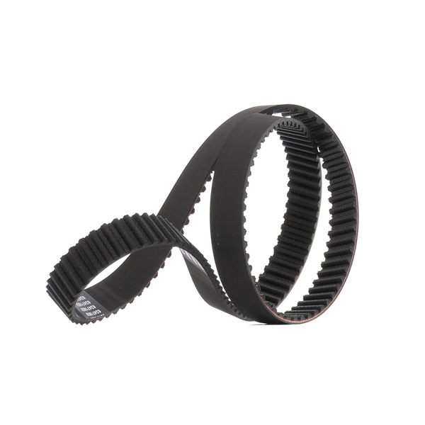 Cinghia dentata 306T0053P RIDEX PLUS ALFA ROMEO 159 Sedan (939) 1.8 TBi (939.AXN1B) 2010 200 CV