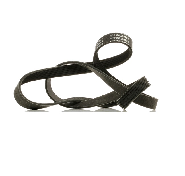 Keilrippenriemen 305P0081P RIDEX PLUS 03C260849A