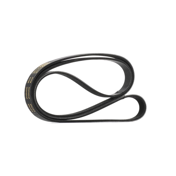 Numéro OEM 11 28 2 245 848 - Courroie Poly-V 305P0044P BMW, OPEL, KIA, HYUNDAI, MINI
