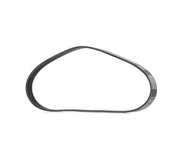 RIDEX PLUS 305P0049P courroie d'alternateur SEAT Altea XL (5P5, 5P8) 1.6 LPG 102CV 2011