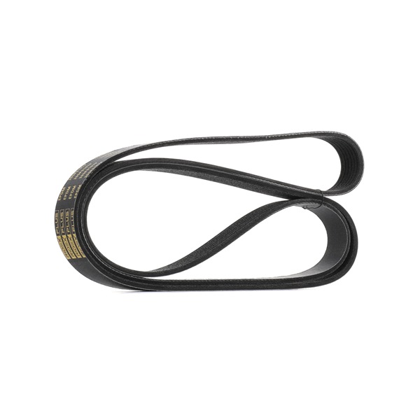 Correia trapezoidal estriada 305P0107P RIDEX PLUS MERCEDES-BENZ Classe S Sedan (W221) S 320 CDI 3.0 2010 211 cv