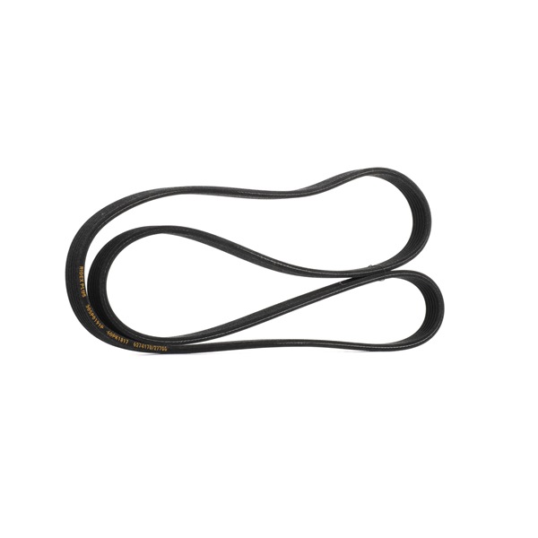 Correia trapezoidal estriada 305P0191P RIDEX PLUS BMW 5 Touring (E61) 520 d 2008 177 cv
