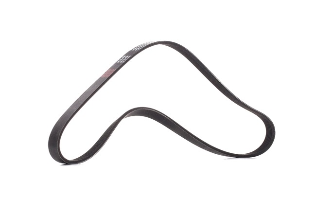 RIDEX PLUS 305P0054P serpentine belt PEUGEOT Partner Origin Van (G_) 1.9 D 69hp 2012