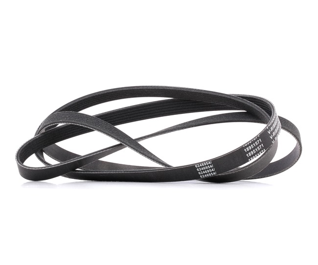 Serpentine belt 305P0101P RIDEX PLUS A 014 997 04 92 MERCEDES-BENZ