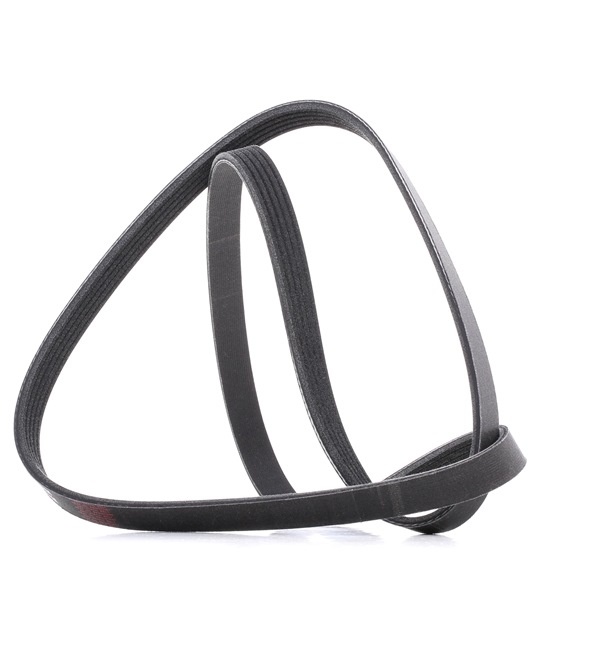 Correia trapezoidal estriada 305P0040P RIDEX PLUS FIAT Ducato I Van (290) 2.5 TD 4x4 1990 95 cv