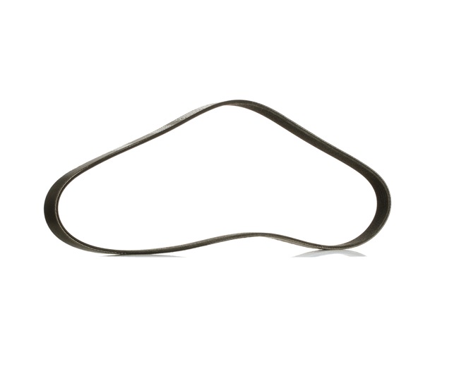 RIDEX PLUS 305P0053P Serpentine belt ALFA ROMEO 145 (930) 1.9 JTD 105 hp Diesel 2001