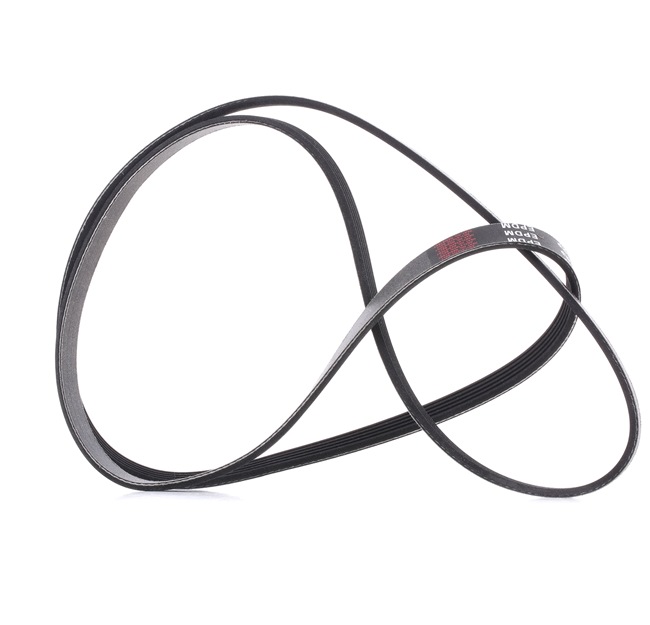 RIDEX PLUS | Correia serpentina 305P0160P MERCEDES-BENZ Classe A (W169) 2008 baratos online