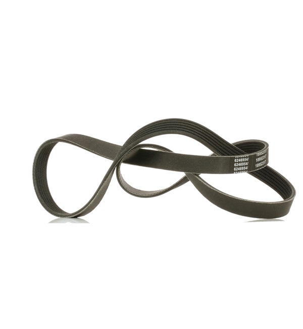 Número OEM 03D 145 933 S - Correia trapezoidal estriada 305P0144P RENAULT, BMW, VW, PEUGEOT, OPEL