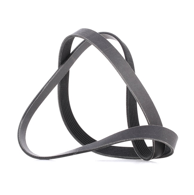 RIDEX PLUS | Correia trapezoidal em v 305P0241P NISSAN Navara Pick-up (D22) 2010 baratos online