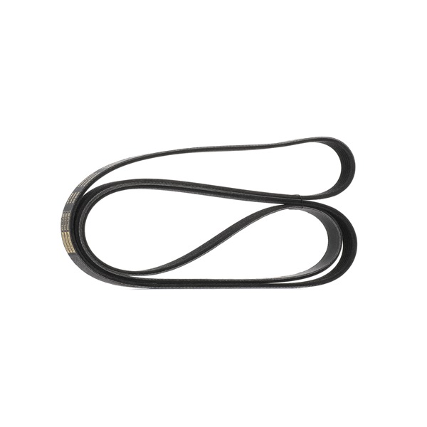 RIDEX PLUS | Correia serpentina 305P0096P LAND ROVER Discovery IV (L319) 2015 baratos online