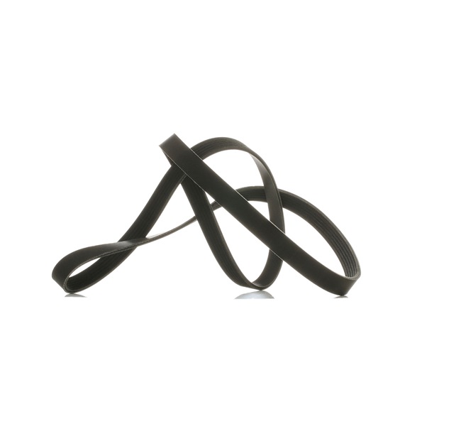 Correia trapezoidal estriada 305P0147P RIDEX PLUS BMW 1 Coupe (E82) 123 d 2007 204 cv