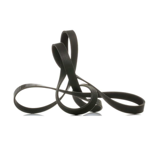 Número OEM 996 102 151 66 - Correia trapezoidal estriada 305P0119P PORSCHE