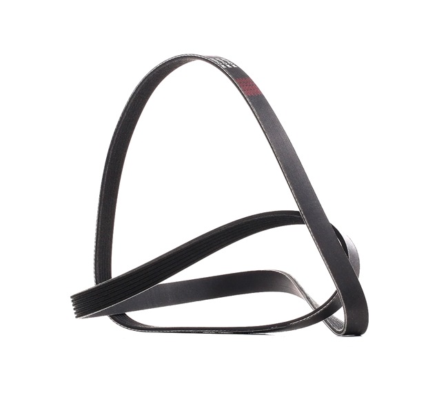 RIDEX PLUS | Correia trapezoidal estriada 305P0181P OPEL Astra K Hatchback (B16) 2016 baratos online