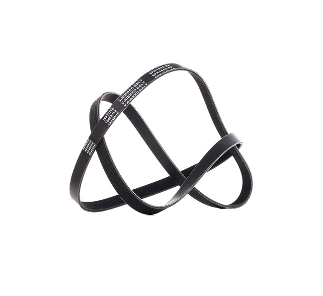 Numéro OEM 71 719 394 - Courroie Poly-V 305B0286P RENAULT, BMW, OPEL, FIAT, TOYOTA
