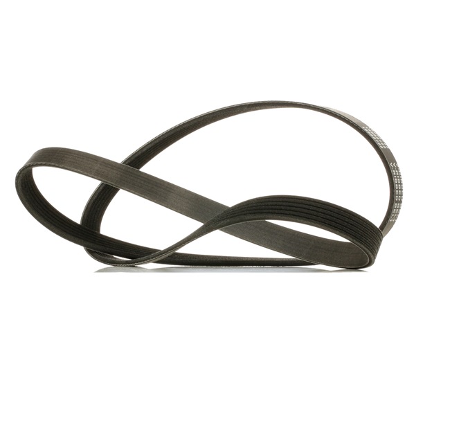 Correia trapezoidal estriada 305P0067P RIDEX PLUS ROVER 800 Hatchback (XS) 2.0 Sport 1994 197 cv