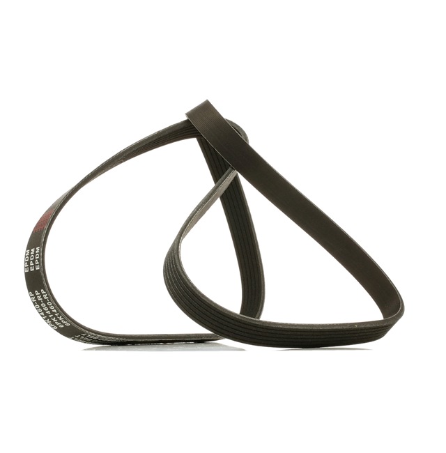 Correia trapezoidal estriada 305P0175P RIDEX PLUS ROVER Streetwise Hatchback 2.0 TD 2003 101 cv