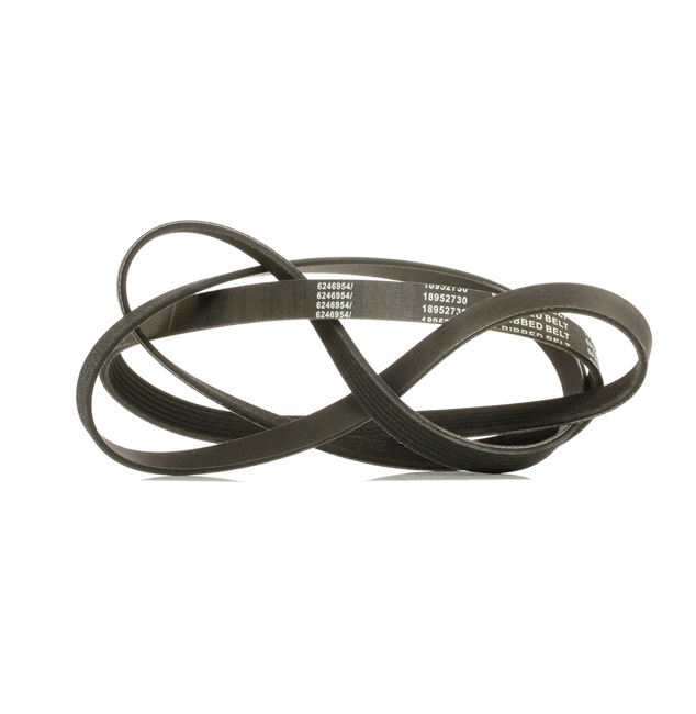 Serpentine belt 305P0162P RIDEX PLUS 11 28 7 789 985 BMW, MERCEDES-BENZ, FORD, MINI, HYUNDAI