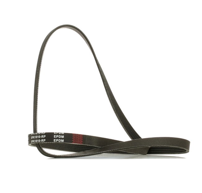 Correia trapezoidal estriada 305P0353P RIDEX PLUS KIA Proceed (CD) 1.6 CRDi 136 2021 136 cv