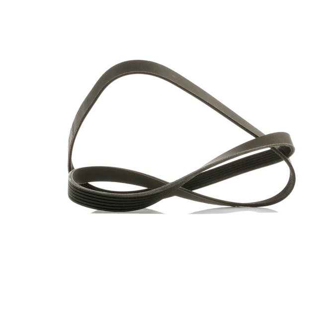 Número OEM 5 3010 010 - Correia trapezoidal estriada 305P0085P VW, MERCEDES-BENZ, AUDI, FORD, FIAT