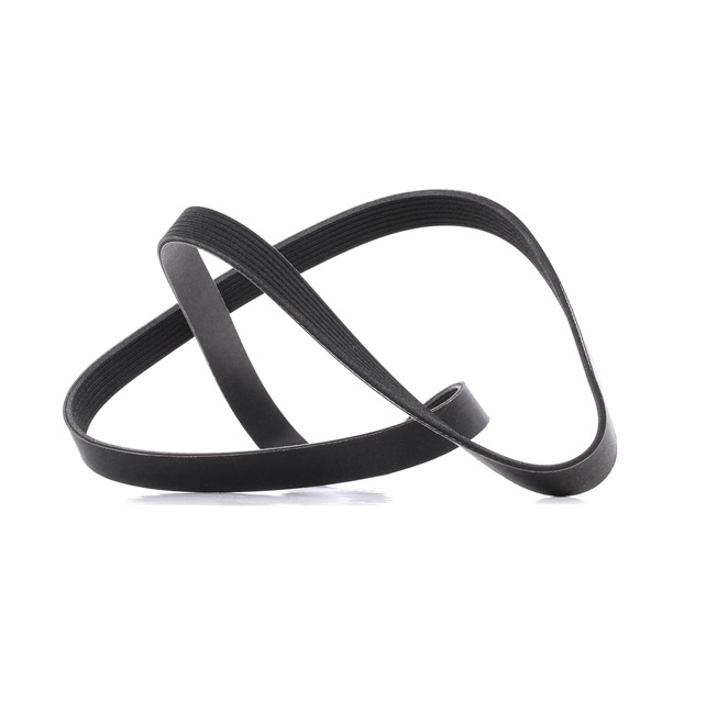 Correia trapezoidal estriada 305P0237P RIDEX PLUS HONDA Civic IX Hatchback (FK) 2.2 i-DTEC (FK3) 2015 150 cv