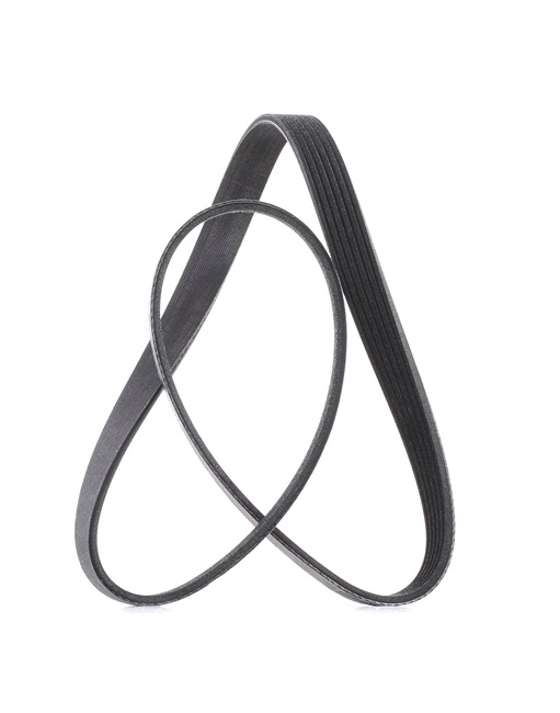 Serpentine belt 305P0058P RIDEX PLUS 11920 6J900 AUDI, NISSAN, SKODA, CITROËN, FIAT