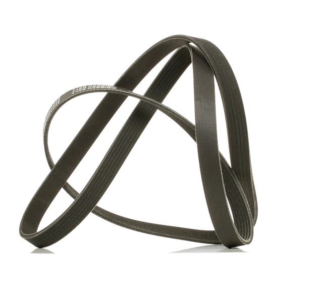 RIDEX PLUS 305P0146P serpentine belt ALFA ROMEO 166 (936) 2.0 T.Spark (936A3B00) 150hp 2001
