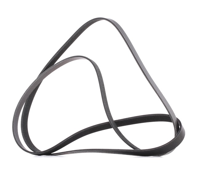 RIDEX PLUS | Correia de ventoinha 305P0531P LAND ROVER Range Rover Velar (L560) 2023 baratos online