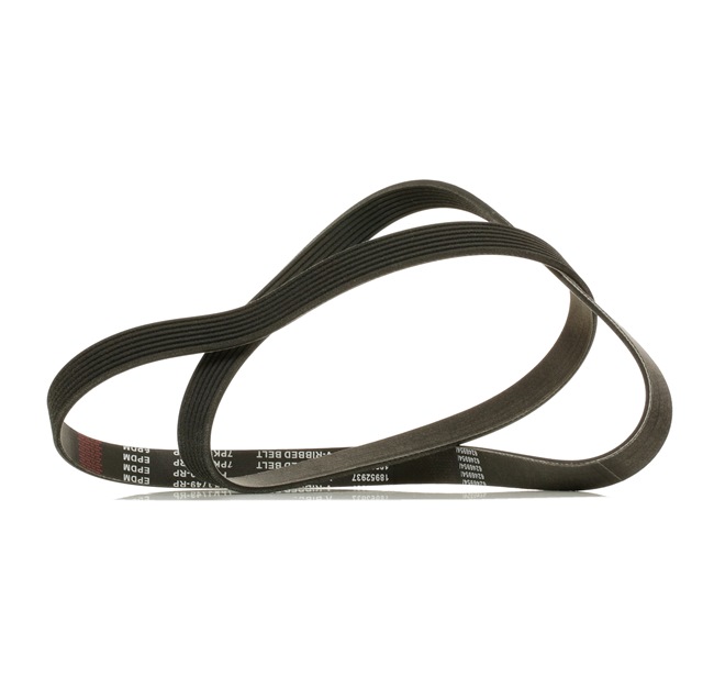 Correia trapezoidal estriada 305P0344P RIDEX PLUS HONDA Accord VII Sedan (CL, CN) 2.0 2007 155 cv