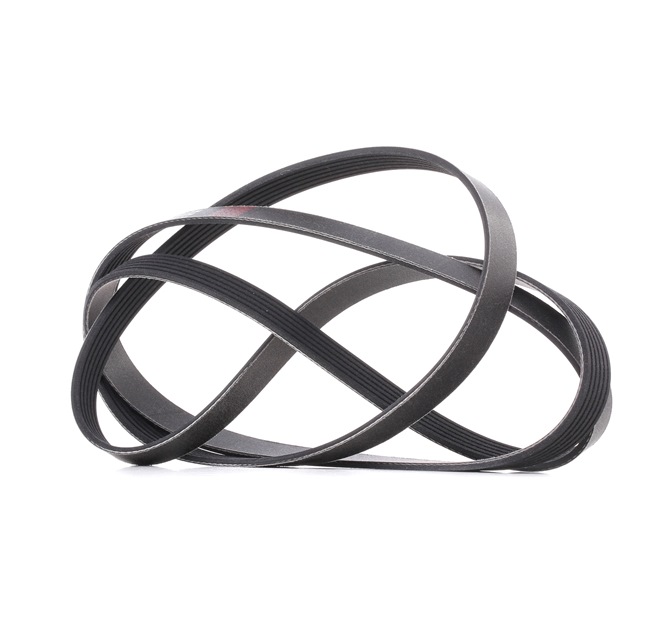 Serpentine belt 305P0216P RIDEX PLUS 5 3012 002 AUDI, MERCEDES-BENZ, PEUGEOT, MAZDA, PORSCHE