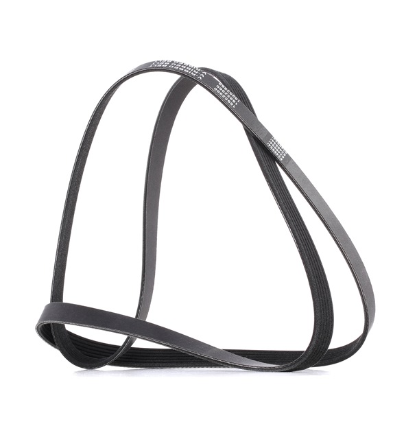 Número OEM 996 102 151 65 - Correia trapezoidal estriada 305P0069P AUDI, FORD, TOYOTA, MAZDA, JEEP