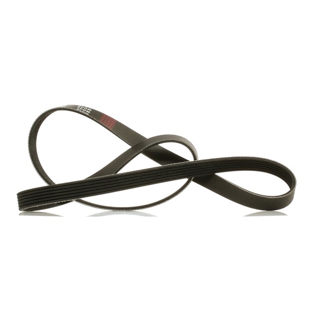 RIDEX PLUS 305P0224P Serpentine belt ALFA ROMEO Giulietta Van (940_) 2.0 JTDM 170 hp Diesel 2014