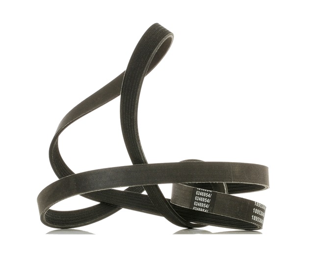 Número OEM 1 137 008 - Correia trapezoidal estriada 305P0091P FORD, VOLVO, CHEVROLET, SSANGYONG