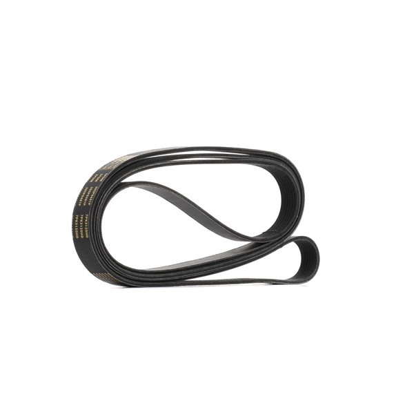 Número OEM CC1Q-6C301-FA - Correia trapezoidal estriada 305P0481P FORD, FORD USA