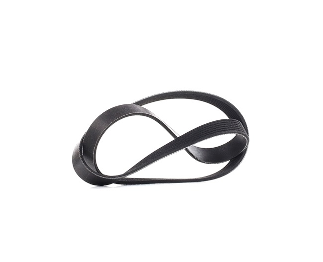 Número OEM 44 23 076 - Correia trapezoidal estriada 305P0451P RENAULT, OPEL, FIAT, ALFA ROMEO, IVECO