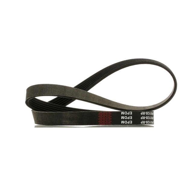 RIDEX PLUS 305P0542P courroie d'alternateur SEAT Altea XL (5P5, 5P8) 1.8 TFSI 160CV 2012