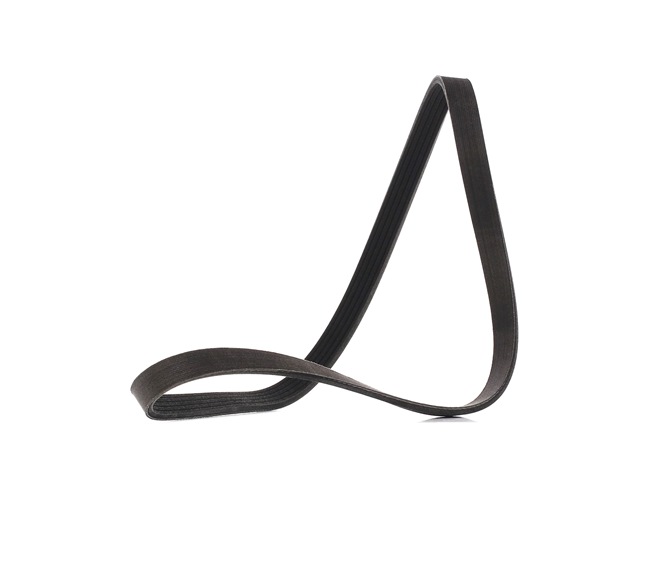 Correia trapezoidal estriada 305P0148P RIDEX PLUS ROVER 600 (RH) 1.9 618 i/Si 1997 115 cv