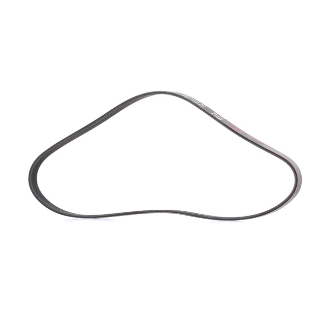 Número OEM PQS 0002 20 - Correia trapezoidal estriada 305P0164P BMW, TOYOTA, ALFA ROMEO, LAND ROVER, ROVER