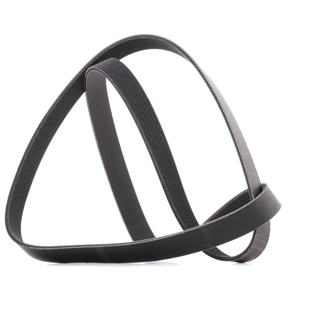 Correia trapezoidal estriada 305P0492P RIDEX PLUS BMW X6 (E71, E72) M 2011 555 cv
