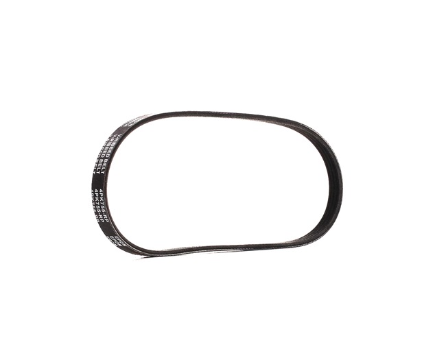 RIDEX PLUS 305P0381P courroie d'alternateur FIAT Ducato II Van (244) 2.0 JTD 84CV 2003