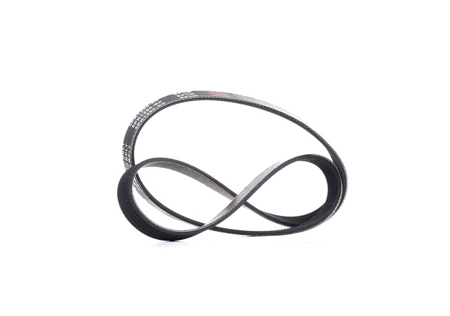 Numéro OEM 96 144 327 - Courroie Poly-V 305P0159P RENAULT, CITROËN, TOYOTA, KIA, HYUNDAI