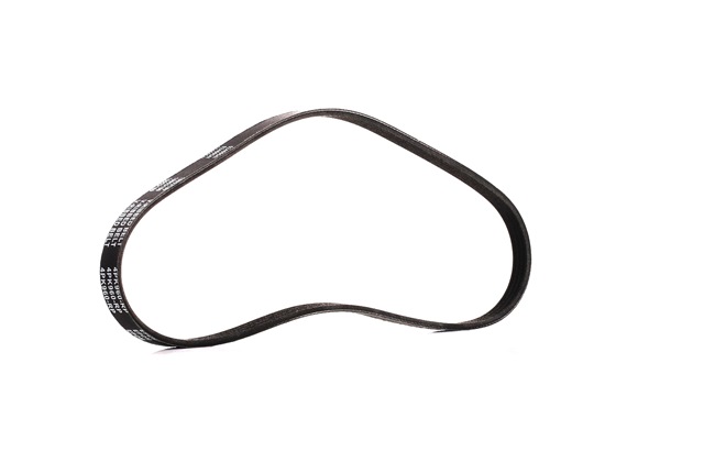 RIDEX PLUS 305P0293P serpentine belt CHEVROLET Silverado II 1500 Crew Cab Pickup 4.8 299hp 2009