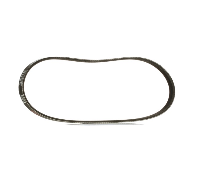 RIDEX PLUS | Correia Trapezoidal Estriada 305P0479P ROVER CityRover Hatchback 2003 baratos online