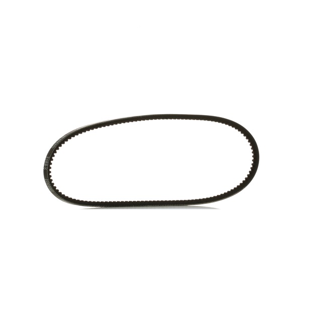 Correia trapezoidal 10C0008P RIDEX PLUS ROVER Mini Hatchback 1.3 Cooper 1994 63 cv
