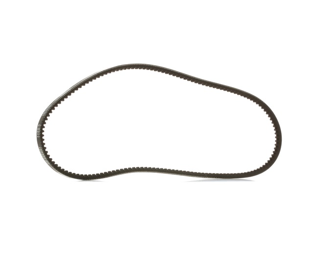 10C0031P RIDEX PLUS v-belt price £ 5,43