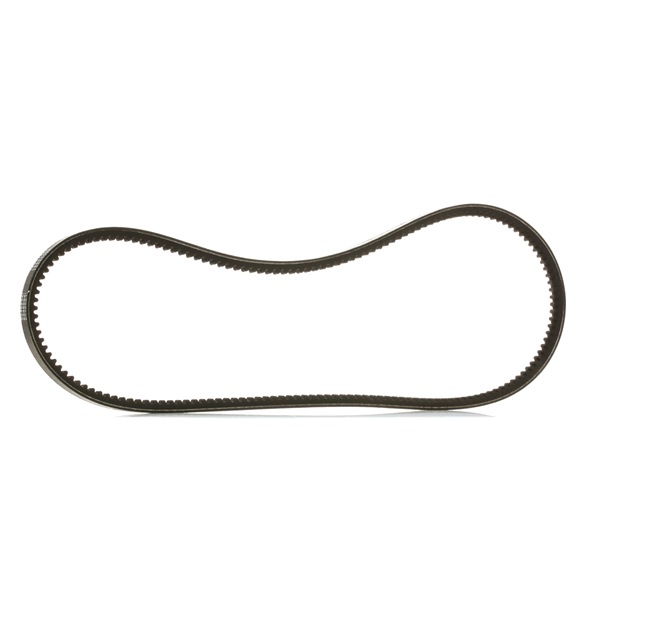 Correia trapezoidal 10C0043P RIDEX PLUS ROVER 2000-3500 Hatchback (SD1) 2300 1977 125 cv