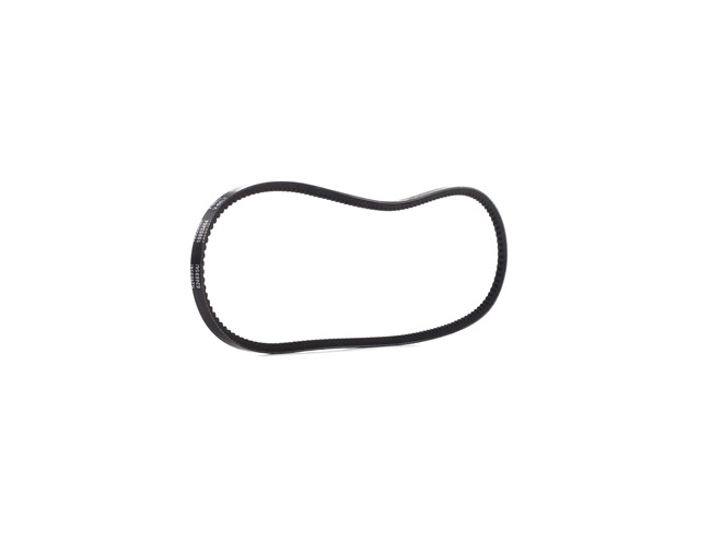 10C0055P RIDEX PLUS 575013 V-Belt