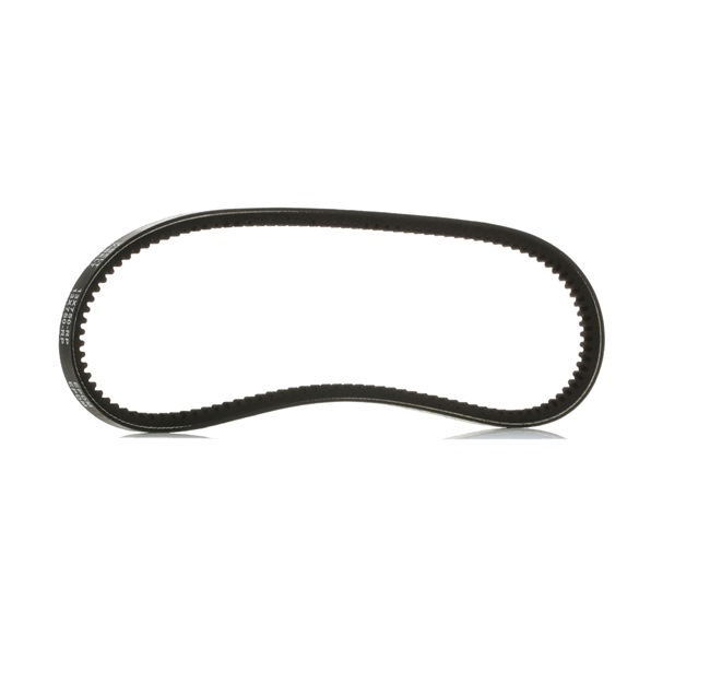RIDEX PLUS 10C0023P V-belt ALFA ROMEO 155 (167) 2.0 16V Turbo Q4 190 hp Petrol 1995