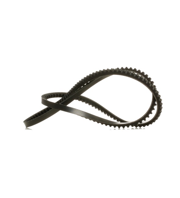 Correia trapezoidal 10C0079P RIDEX PLUS ROVER 2000-3500 Hatchback (SD1) 3.5 Vitesse 1982 193 cv