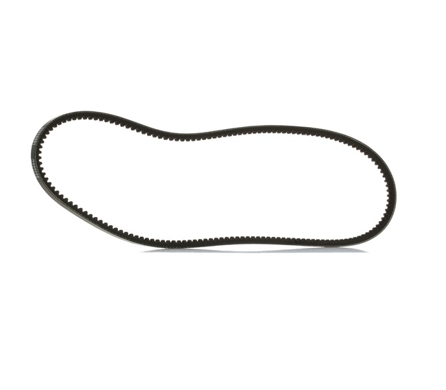 SZ belt / chain drive RIDEX PLUS 10C0069P