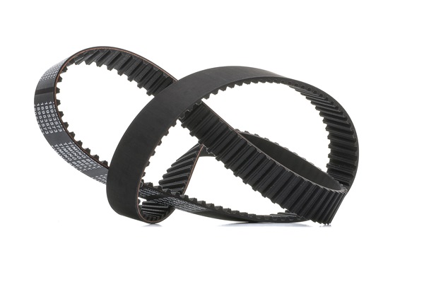 OEM-Nummer 50 00 293 612 - Zahnriemen 306T0113P RENAULT, FIAT, DACIA, IVECO, RENAULT TRUCKS